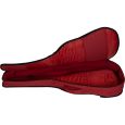Ritter Davos RI-RGD2-C-SRD Konzertgitarre 4/4 Klassik Gigbag Thumbnail 4