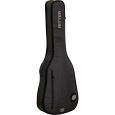 Ritter Davos RI-RGD2-F-ANT Folk/Auditorium Gigbag Thumbnail 2