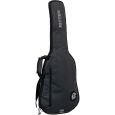 Ritter Davos RI-RGD2-E-ANT E-Gitarre Gigbag Thumbnail 2