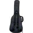 Ritter Davos RI-RGD2-E-ANT E-Gitarre Gigbag Thumbnail 3