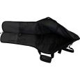 Ritter Davos RI-RGD2-E-ANT E-Gitarre Gigbag Thumbnail 4