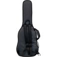 Ritter Davos RI-RGD2-ET-ANT 3/4 E-Gitarre Gigbag Thumbnail 3