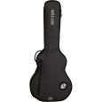 Ritter Davos RI-RGD2-SA-ANT 335 Semiakustik Gigbag Thumbnail 1