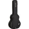 Ritter Davos RI-RGD2-SA-ANT 335 Semiakustik Gigbag Thumbnail 2