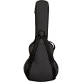 Ritter Davos RI-RGD2-SA-ANT 335 Semiakustik Gigbag Thumbnail 3
