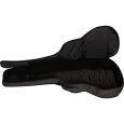 Ritter Davos RI-RGD2-SA-ANT 335 Semiakustik Gigbag Thumbnail 4