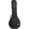Ritter Davos RI-RGD2-BJ-ANT 4/5-saitig Banjo Gigbag Thumbnail 1