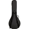 Ritter Davos RI-RGD2-BJ-ANT 4/5-saitig Banjo Gigbag Thumbnail 3