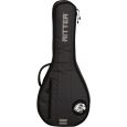Ritter Davos RI-RGD2-MA-ANT A/F Mandoline Gigbag Thumbnail 1