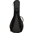Ritter Davos RI-RGD2-MA-ANT A/F Mandoline Gigbag Thumbnail 3