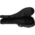 Ritter Davos RI-RGD2-MA-ANT A/F Mandoline Gigbag Thumbnail 4