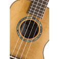 Baton Rouge rECO UTA-C Alder Konzert-Ukulele Thumbnail 7