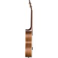 Baton Rouge rECO UTAS-T Ash Tenor-Ukulele Thumbnail 3