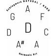 Schlagwerk HP8DM Natural Handpan D-Kurd Moll 8 Töne inkl. Gigbag Thumbnail 6