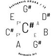 Schlagwerk HP12CAM Handpan C# Amara 12 Töne inkl. Gigbag Thumbnail 8