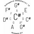 Schlagwerk HP15CS Handpan C# chromatisch 15 Töne inkl. Gigbag Thumbnail 8