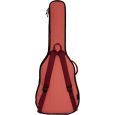 Ritter Evilard RI-RGE1-C-FRO Classic 4/4 Gigbag Thumbnail 3