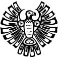 Schamanentrommel Donnervogel - Ziege 40cm Thumbnail 3