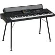 Korg PaAS MK2 Amp System f. Pa5X, Pa4X, Pa3X, Pa3X Le Thumbnail 6