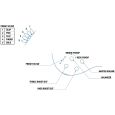 Yamaha TRBX 304 MGR E-Bassgitarre Thumbnail 6