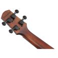 Ibanez AUC14-OVL Konzert-Ukulele inkl. Gigbag Thumbnail 6