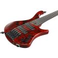 Ibanez EHB1505-SWL Bass Workshop 5-Str Stained Wine Red Low Gloss Incl. Gigbag Thumbnail 3