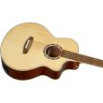 Ortega D7CE-5 Deep Series 7 5-String Akustikbass Thumbnail 5