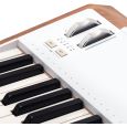 Arturia AstroLab Thumbnail 6