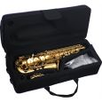SML Paris VSM A420-II Eb Alt Saxophon Lackiert Thumbnail 2