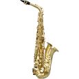 SML Paris VSM A420-II-BM Eb Alt Saxophon Lackiert Thumbnail 1