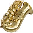 SML Paris VSM A420-II-BM Eb Alt Saxophon Lackiert Thumbnail 2