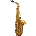 SML Paris VSM A620-II Eb Alt Saxophon Lackiert Thumbnail 1