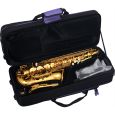 SML Paris VSM A620-II Eb Alt Saxophon Lackiert Thumbnail 2