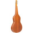 Gold Tone Weissenborn Gitarre mit Sapele Decke und Tasche B-Ware Thumbnail 2
