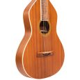 Gold Tone Weissenborn Gitarre mit Sapele Decke und Tasche B-Ware Thumbnail 3