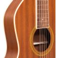 Gold Tone Weissenborn Gitarre mit Sapele Decke und Tasche B-Ware Thumbnail 5