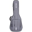 Ritter Arosa RI-RGA6-D-TGR A6 Deluxe Dreadnought Gigbag Thumbnail 1