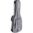 Ritter Arosa RI-RGA6-E-TGR Deluxe E-Gitarre Gigbag Thumbnail 2