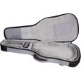 Ritter Arosa RI-RGA6-E-TGR Deluxe E-Gitarre Gigbag Thumbnail 5