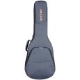 Ritter Retro RI-RGR3-D-MGB R3 Carouge Dreadnought Gitarre Gigbag Thumbnail 1
