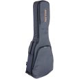 Ritter Retro RI-RGR3-C-MGB R3 Carouge Classical 4/4 Gitarre Gigbag Thumbnail 2
