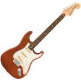 Fender Ltd. American Sassafras Strat MCH E-Gitarre inkl. Gigbag Thumbnail 1