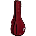 Ritter Davos RI-RGD2-MA-SRD A/F Mandoline Gigbag Thumbnail 1