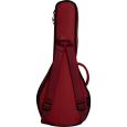 Ritter Davos RI-RGD2-MA-SRD A/F Mandoline Gigbag Thumbnail 2
