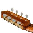 Ortega RCE158RW-8 8 String 4/4 Konzertgitarre inkl. Gigbag Thumbnail 11