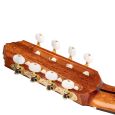 Ortega RCE159RW-8 8 String 4/4 Konzertgitarre inkl. Gigbag Thumbnail 11