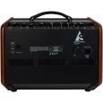 Godin Acoustic Solutions ASG-8 120 Wood B-Ware Thumbnail 2