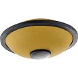 MEINL Sonic Energy Mini Steel Tongue Drum 6 Zoll H Dur 6 Töne 440 Hz Gold Thumbnail 2