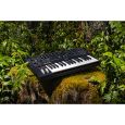 Moog Messenger Analoger Synthesizer Thumbnail 9