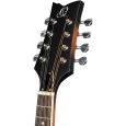 Ortega RMA30-WB-L Americana Series Mandoline 8-String Whiskey Burst Finish Left Thumbnail 8